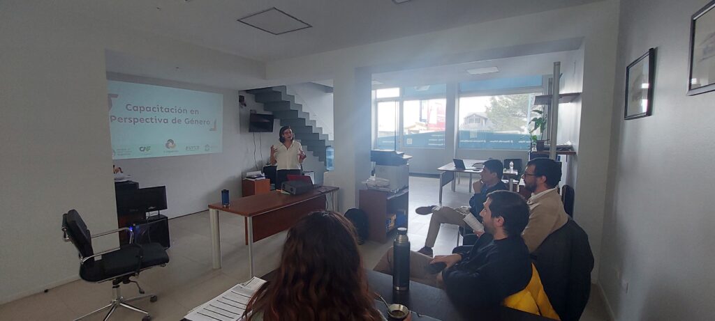 Una mujer da una capacitación en perspectiva de Género. Sentados en un sillón hay 3 hombres y una mujer
